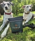 Preview: Gassitasche Hundetasche Leckerchentasche Leckerlibeutel Umhängetasche Gürteltasche