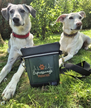 Gassitasche Hundetasche Leckerchentasche Leckerlibeutel Umhängetasche Gürteltasche